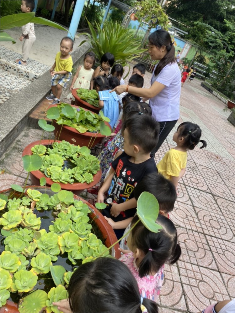 Ảnh đại diện
